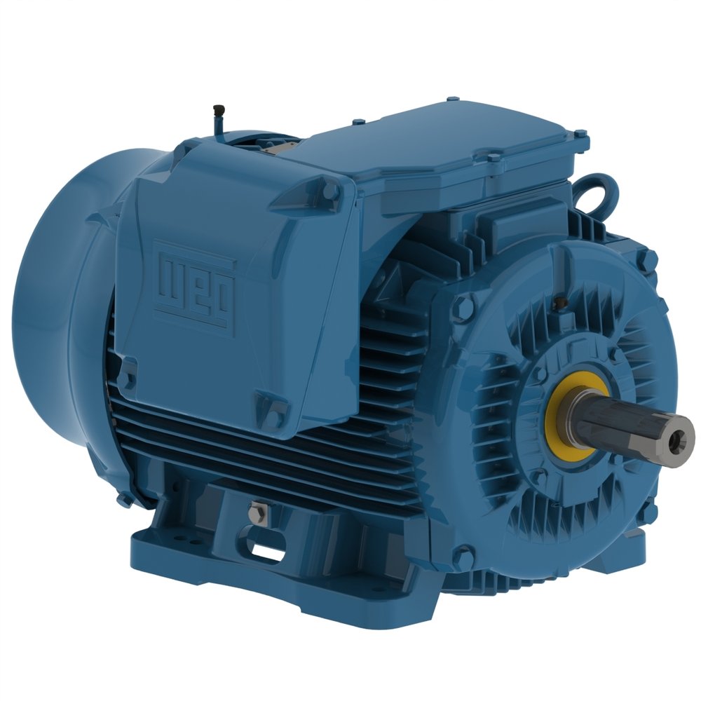 ELECTROMOTOR WEG
